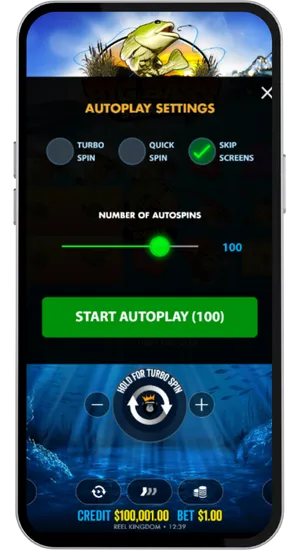 Settings panel for autoplay and spin speed configuration