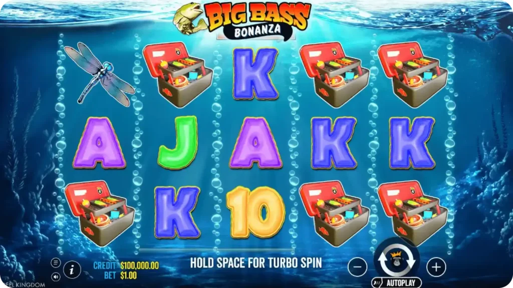 Betting Options in game Big Bass Bonanza