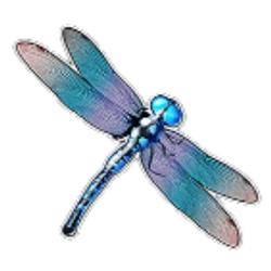 Dragonfly symbol