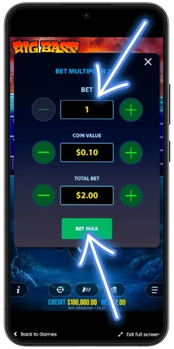 Setting the bet and coin value in Big Bass Bonanza Megaways